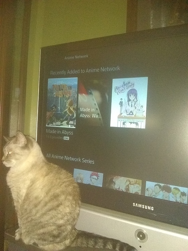 1581030940575647959324