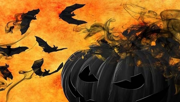 bats-and-jack-o-lanterns-a-fixture-for-halloween_478899