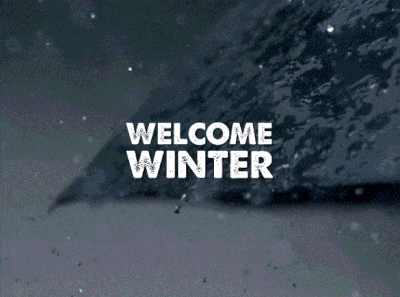 5a3c162ee8428805695568