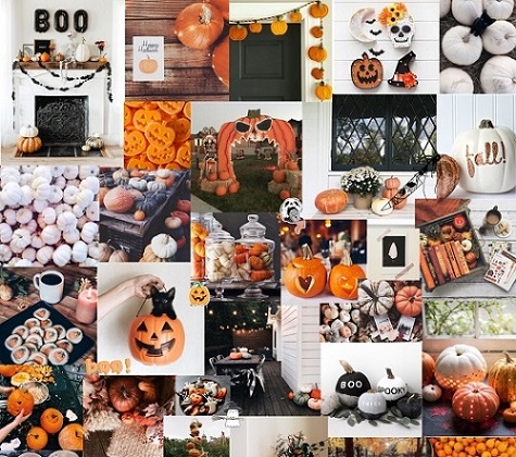 000-525-1dba049f8515d0155e78537fa3ec6496a