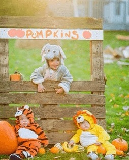 000-254-diy-pallet-pumpkin-stand1