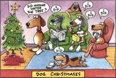 FS-2020-12-04-Christmas-humor-did-anyone-water-the-tree-dog