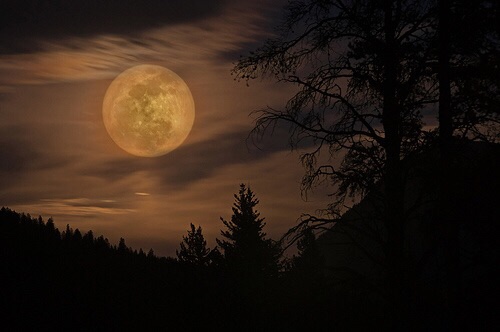 000-500-7h3S1tj7un5o1_500