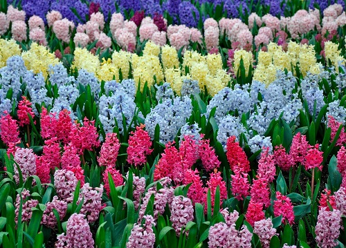 000-500-Capture-04-01-22-007