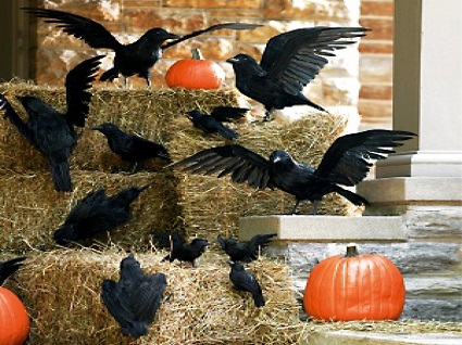 000-425-decorations_black-raven_fresh-pumpkin