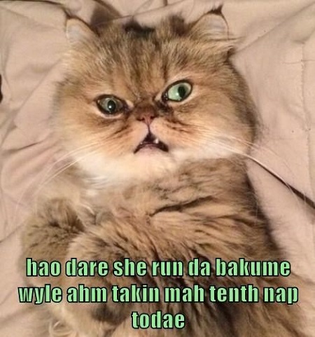 cat-hao-dare-she-run-da-bakume-wyle-ahm-takin-mah-tenth-nap-todae