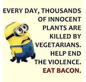 000-300-Funny-Quotes-And-Sayings-About-Funny-Memes-11