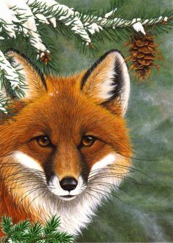 000-animal-931010607b5