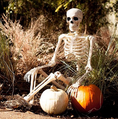 000-400-Capture-10-05-21-001