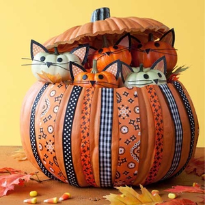 000-300-kitty-pumpkin-1-m