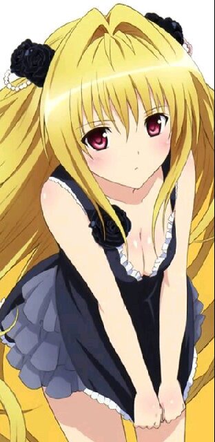 eb92cb5729f4e5326c2f4959505af061