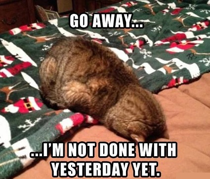225181-Go-Away-Im-Not-Done-With-Christmas