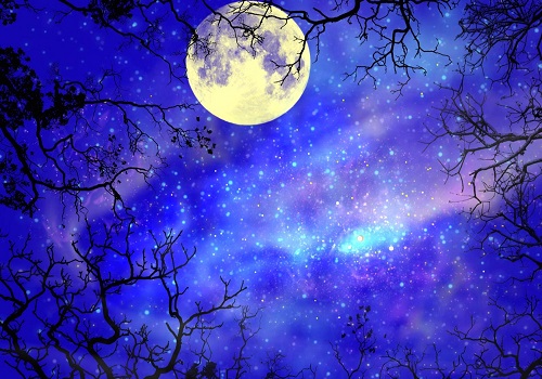 000-500-2019-30-19 09-30-01