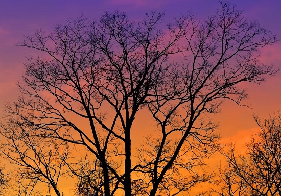 000-550-Halloween sunset