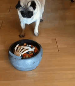 zzz-240-5da5d51b51ff7695929657