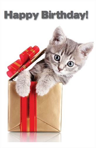 Cat-Happy-Birthday-1