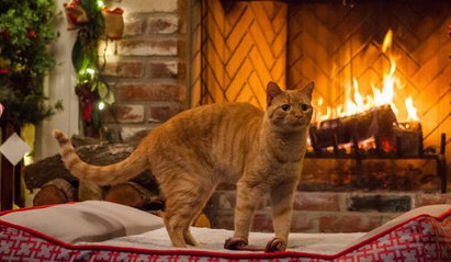 000-411-happy-yule-log-2jpg-ea3ccfb341be8f6a