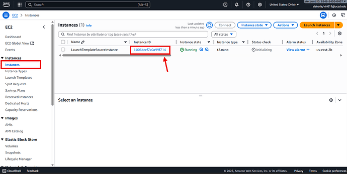 Select Existing Instance
