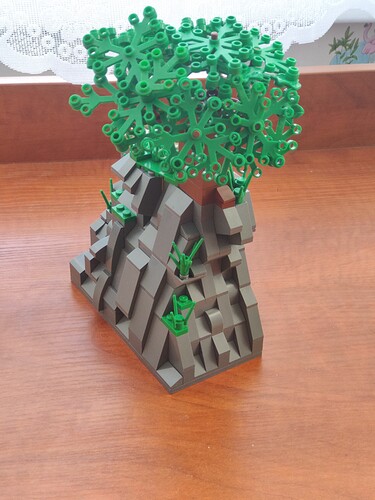 IMG_20210207_1248191