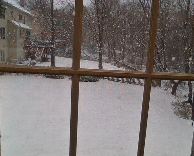 Winter_Yard