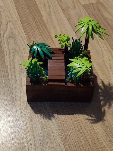 IMG_20210227_1755501