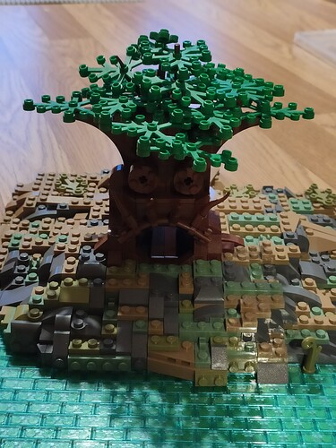 IMG_20210130_1653071