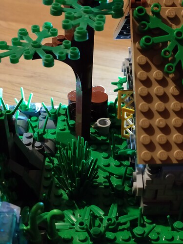 IMG_20210220_2103391