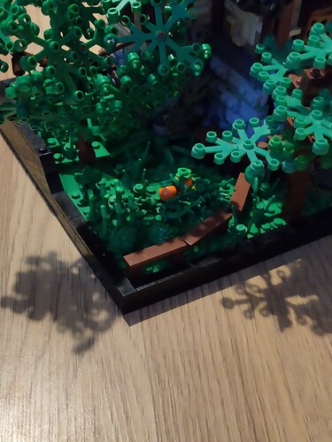 IMG_20210227_1749491