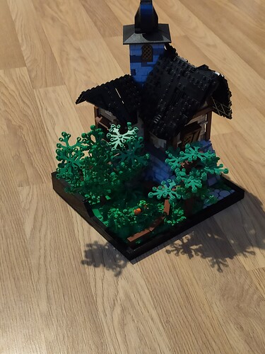 IMG_20210227_1749371