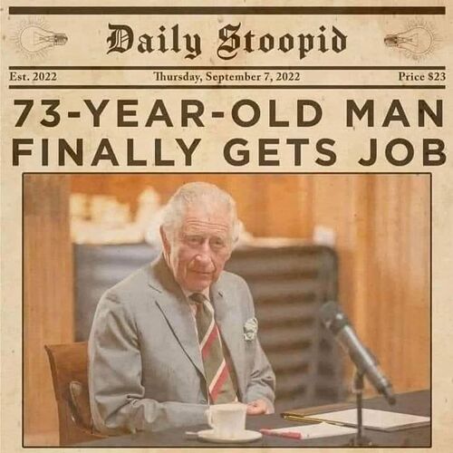 apprentice