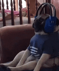 Feeling It My Song GIF by moodman