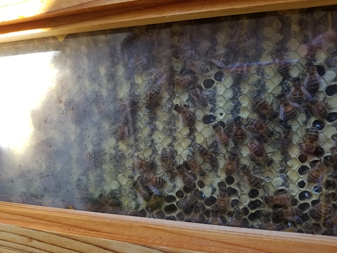 20171028_104355