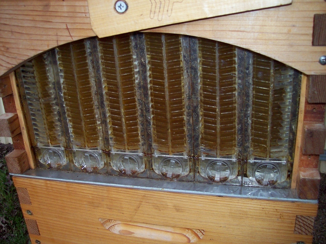 birds, mineral blocks, street trees 017