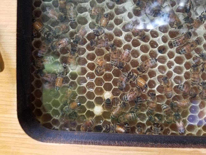 20190623_122315