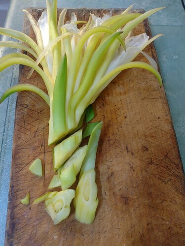 IMG_20240226_085940846