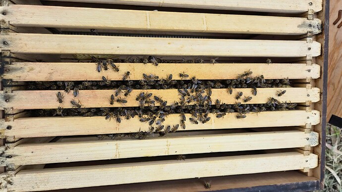 069fa603-cb8d-42c0-a090-550c044f484c