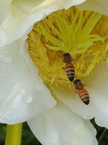 IMG_20220120_081936295