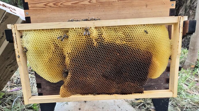 8abe9a54-35b2-475c-8206-69613daa13e9