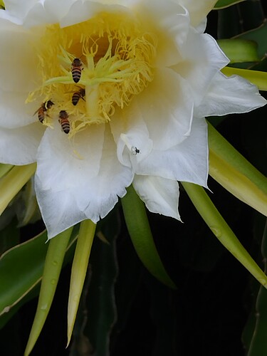 IMG_20220121_064217817