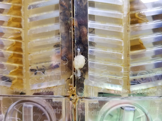 20190626_140338