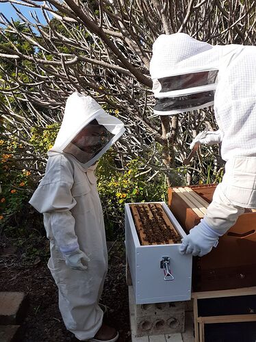 beekeeping_with_dad
