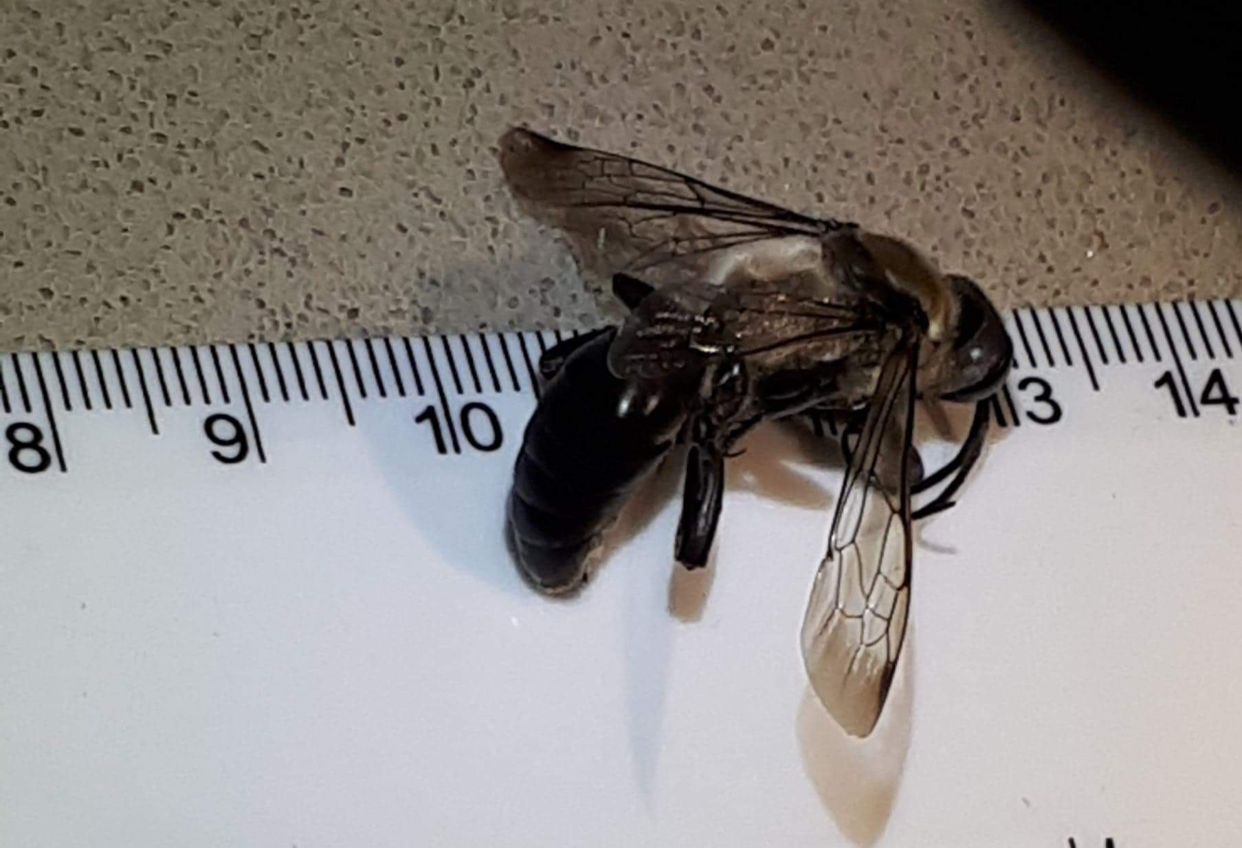 received_2225241361135654