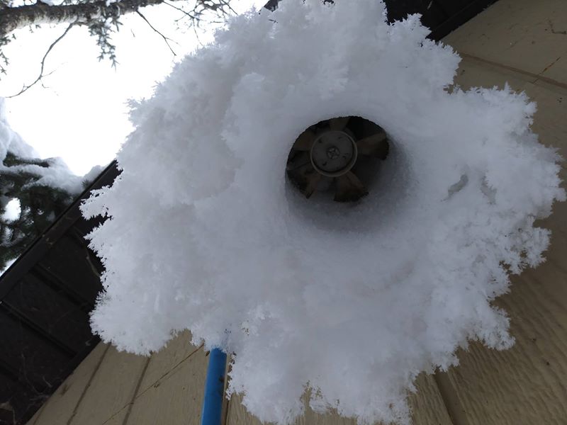 Image may contain: snow, plant, outdoor and nature