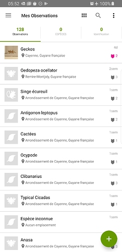Screenshot_20191120-055205_iNaturalist