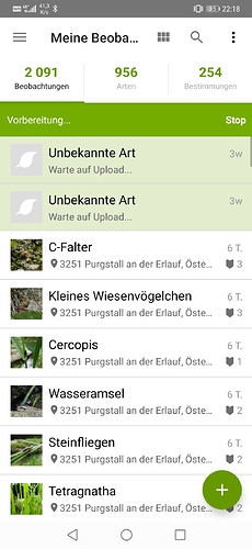 Screenshot_20200527_221805_org.inaturalist.android
