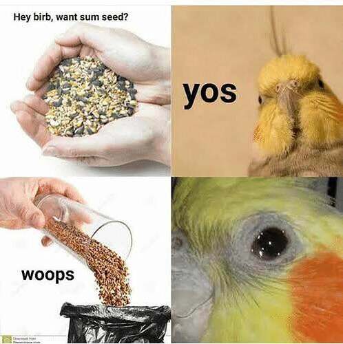 v4xse69v4ng51