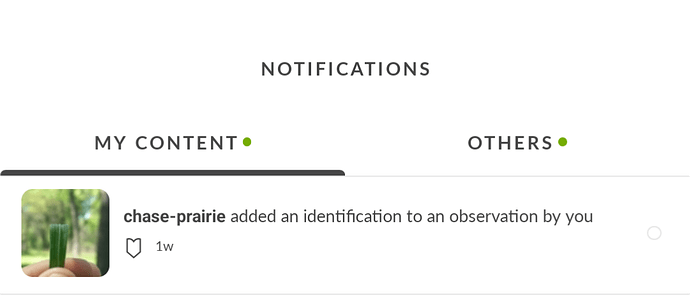 Screenshot_20250924-124337