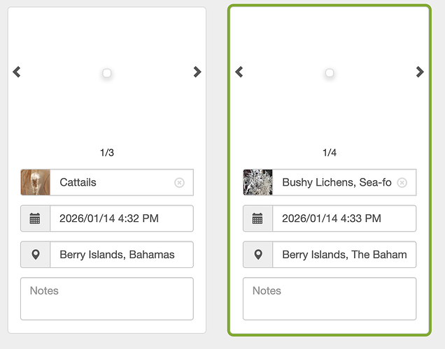 Screenshot 2026-01-14 at 5.52.58 PM