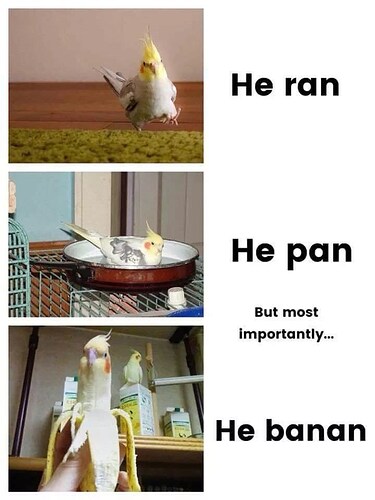packaged-goods-he-ran-an-but-most-importantly-he-banan