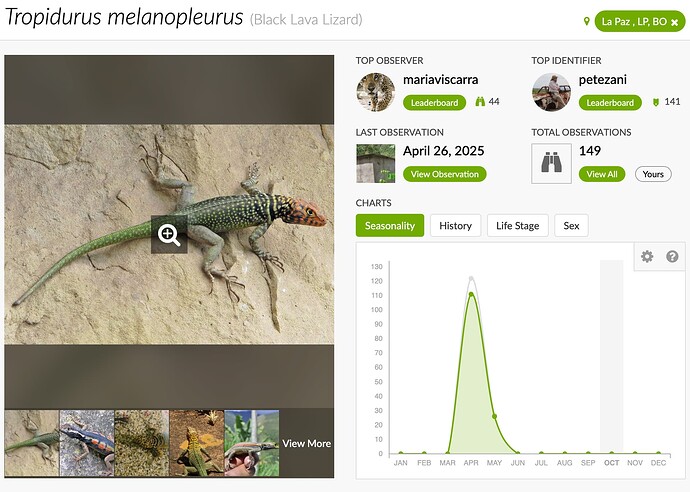 Screenshot 2025-10-23 at 10.55.37 AM